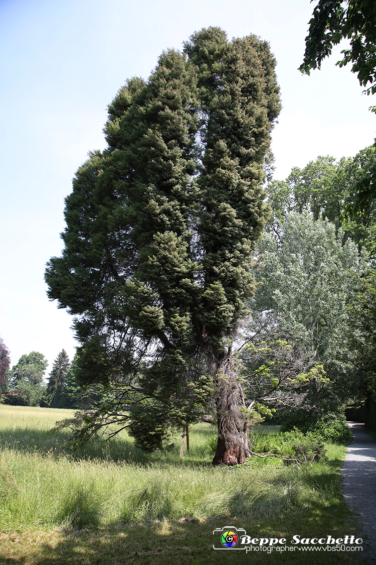 VBS_1533 - Castello di Miradolo - Mostra Oltre il giardino l'Abbecedario di paolo Pejrone.jpg